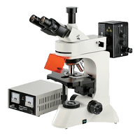 Fluorescence microscope