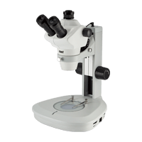 Stereomicroscope