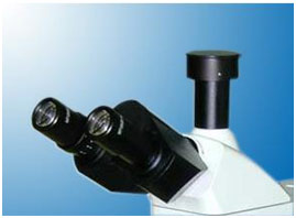 53XC系列明暗场正置金相显微镜